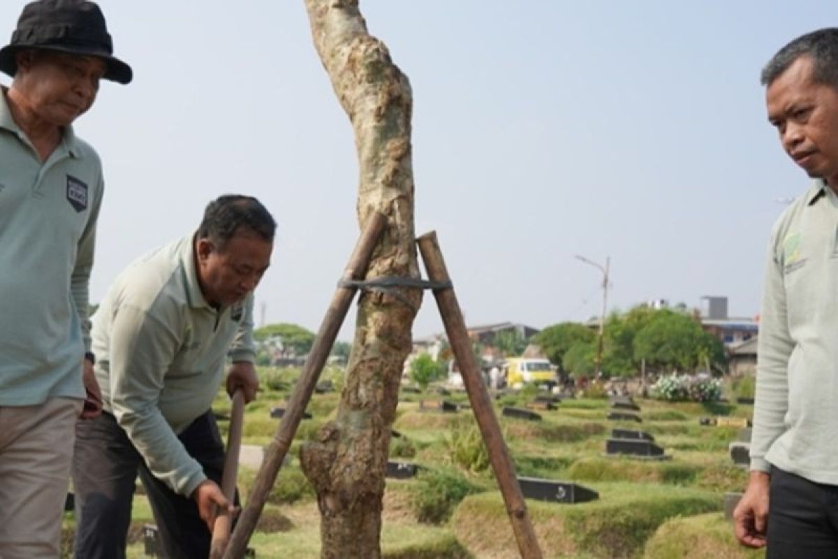Jakbar sasar lahan fasos lalu fasum untuk ditanami pohon pelindung